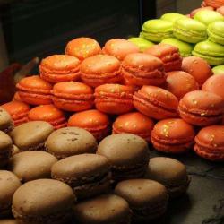 Saines Saveurs