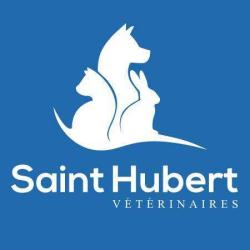 Saint Hubert