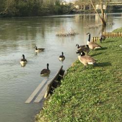 Saint Maur Des Fossés
