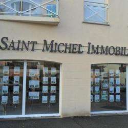 Saint Michel Immobilier