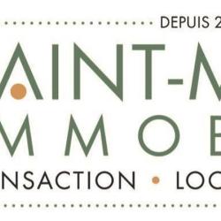 Saint Michel Immobilier