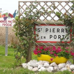 Saint Pierre En Port