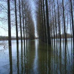Saint Sever De Saintonge