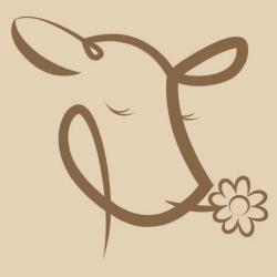 Saisons Fromagerie