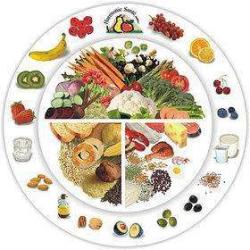 Sakr Layal Diététicienne Nutritionniste