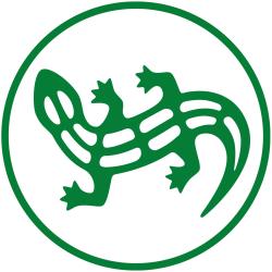 Salamander - Nailloux
