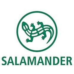 Salamander - Aubergenville