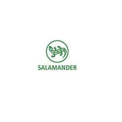 Salamander