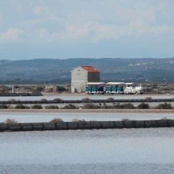 Salin De La Palme