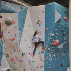 Salle D'escalade Vertical Art