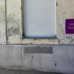 Salle Tripathi