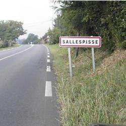 Sallespisse