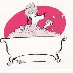 Salon De Toilettage Du Roc D'eden