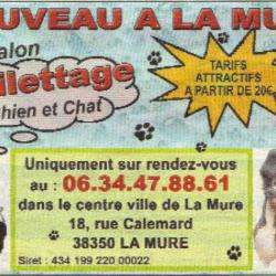 Salon De Toilettage