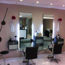 Salon Des Nelmonts