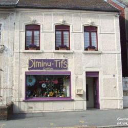 Salon Diminutif