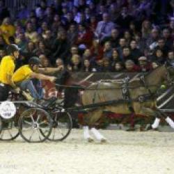 Salon Du Cheval