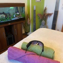 Salon Energy Balance