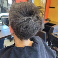 Salon Guillaume D