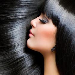 Salon M