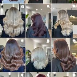 Salon Muse