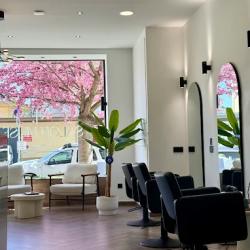 Salon Muse