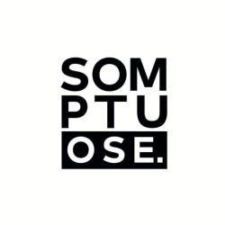 Salon Somptuose Lyon