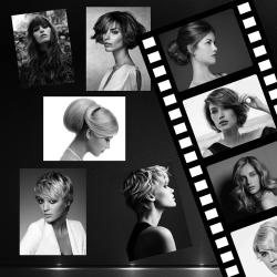 Salon Thierry Fabre