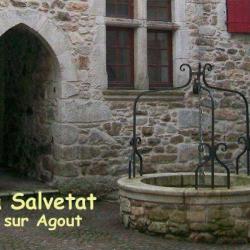 Salvetat Sur Agout