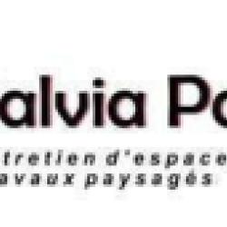 Salvia Paysages