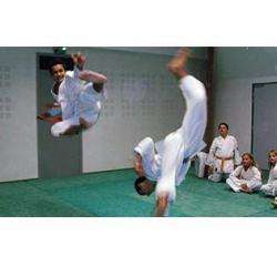 Sambo Club Tarbais