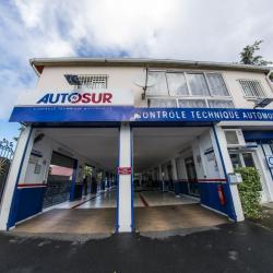 Autosur