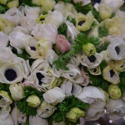 Sander Smids Fleuriste