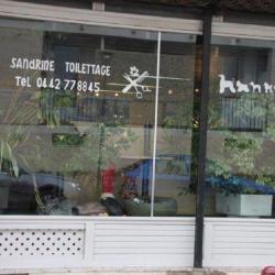 Sandrine Toilettage