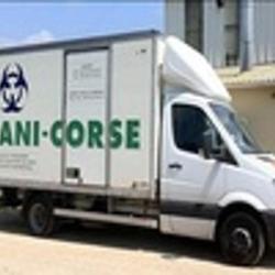 Sani-corse