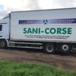Sanicorse