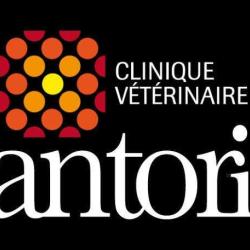 Clinique Vétérinaire De La Lézarde (santoria)