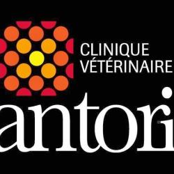 Santoria Clinique Vétérinaire Saint Roch