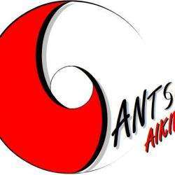 Santsu Aikido - Cs Chorier Grenoble