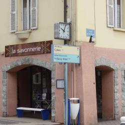 Saponis