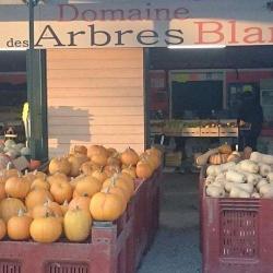 Sarl Domaine Des Arbres Blancs