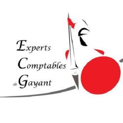 Sarl Experts-comptables De Gayant