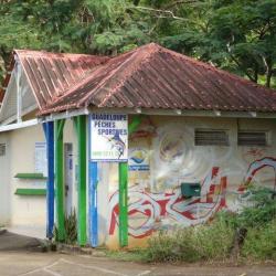 Sarl Guadeloupe Pêches Sportives