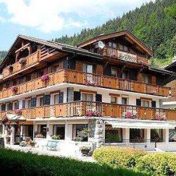 Sarl Hotel Alpina