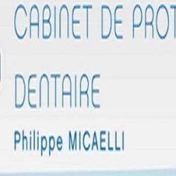 Sarl Micaelli