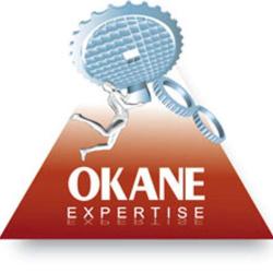 Sarl Okane Organisation Guadeloupe Com Qualite