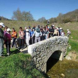 Sarl Saveurs De Gascogne