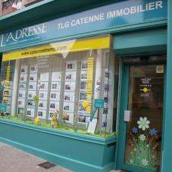 Catenne Immobilier