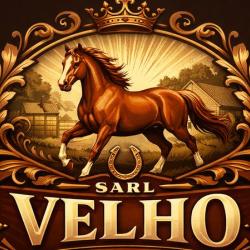 Sarl Velho