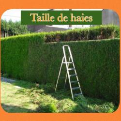 Sarthe Paysagiste